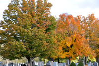 10-18-09  Fall Tree Colors