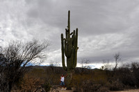 02-18-2011 Saguaro  National Park East, Az-photos