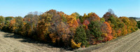 10-24-2023  Fall Colors Are Everywhere (East of Scircleville, Indiana)-photos
