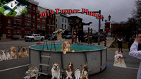 01-01-2019 Pupper Plunge Hosted by   Frankfort's Unified Neighborhoods