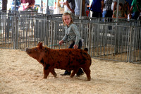 7-20-23 Carroll County 4-H Swine Show
