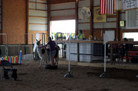 07-18-2014  Clinton County 4H Fair Rodeo & More Photographed by  Patty Keaton Parks