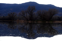 02-07-2015 Dead Horse Ranch State Park NM Reflection Bald Eagle Ducks & Sunset Day 1