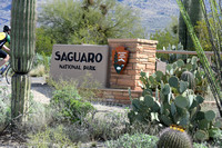 02-15-2015 Saguaro National Monument East