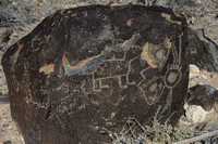 02-05-2015 Petroglyph National Monument New Mexico & Roadrunner